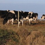 Exploring Uruguay’s Central Farming Areas