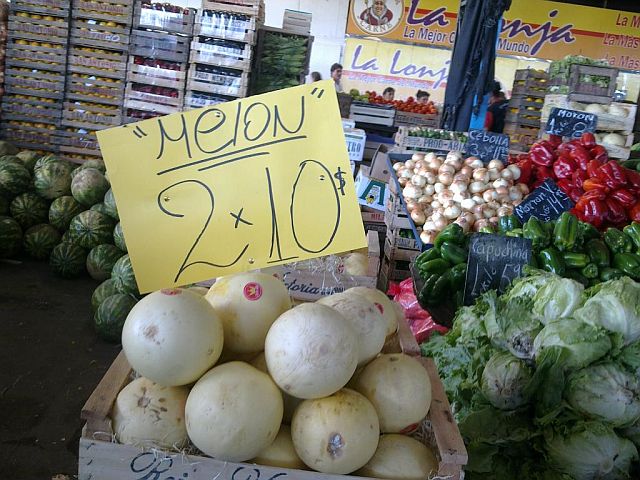 Melon 2 640