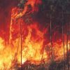 Wildfires Burn in Central Chile